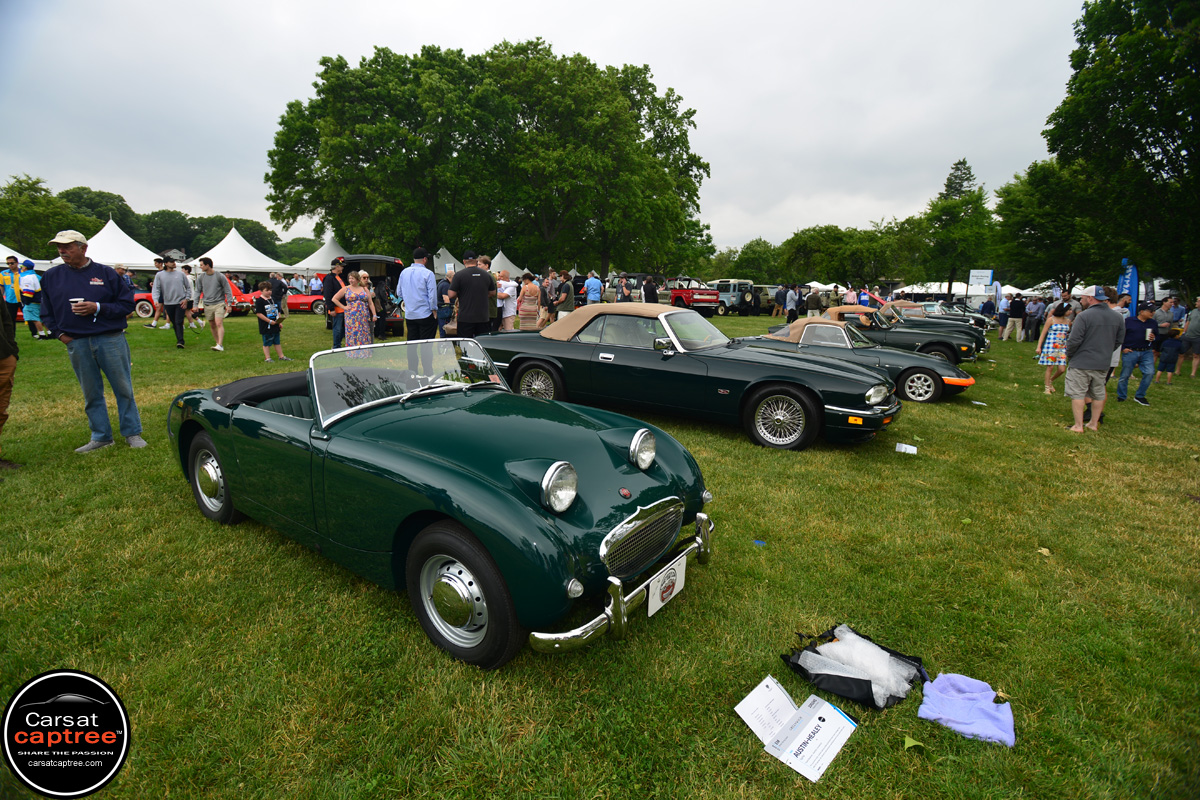 1958 Austin Healey Sprite 